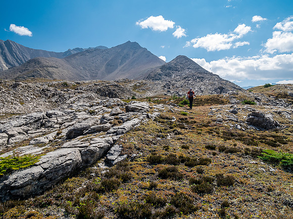 Ascending the NW ridge of Mount Goodair.