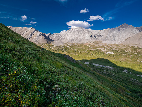 Descending into the upper NW corner of McConnell meadows under Smoky Mountain.