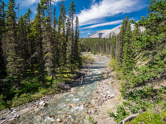 Hiking up McConnell Creek.