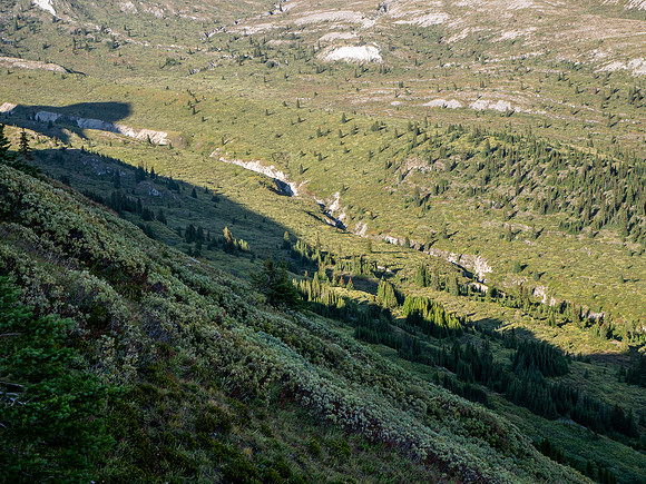 Hiking the McConnell Meadows above the north branch of McConnell Creek.