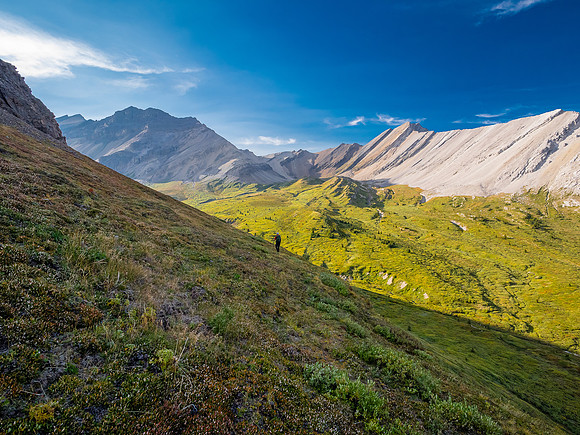 Descending into the upper NW corner of McConnell meadows under Smoky Mountain.
