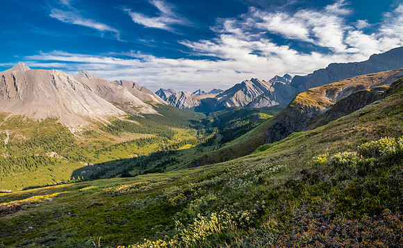 Hiking the McConnell Meadows above the north branch of McConnell Creek.