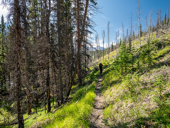 Hiking the Red Deer River Trail.