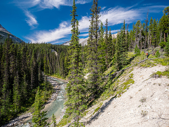 Hiking up the outfitter trail above McConnell Creek.