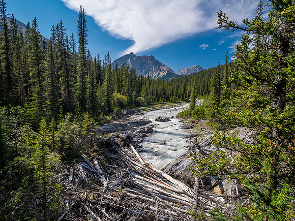 Hiking up McConnell Creek.