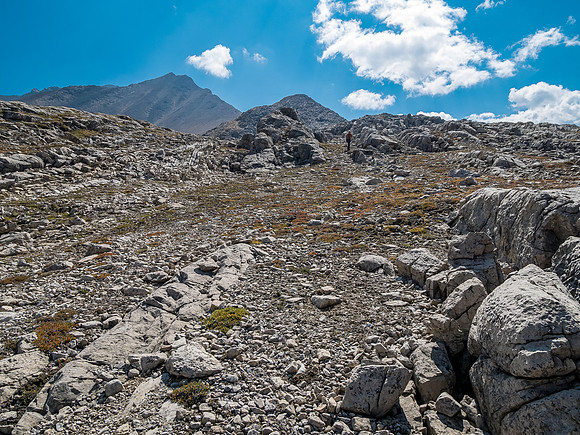 Ascending the NW ridge of Mount Goodair.