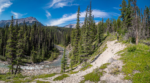 Hiking up the outfitter trail above McConnell Creek.