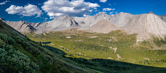 Hiking the McConnell Meadows above the north branch of McConnell Creek.