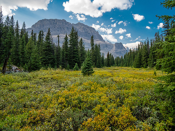 Hiking across the Roaring Creek valley.