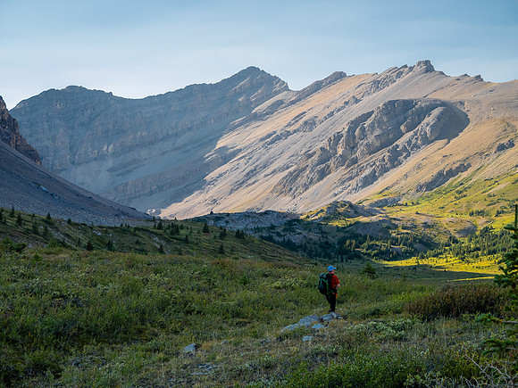 Hiking the McConnell Meadows above the north branch of McConnell Creek.