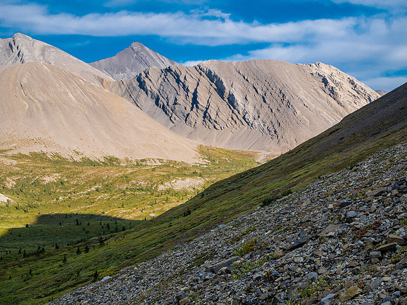 Descending into the upper NW corner of McConnell meadows under Smoky Mountain.