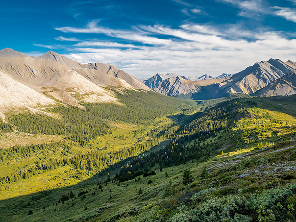 Hiking the McConnell Meadows above the north branch of McConnell Creek.