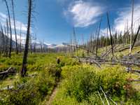 Hiking the Red Deer River Trail.