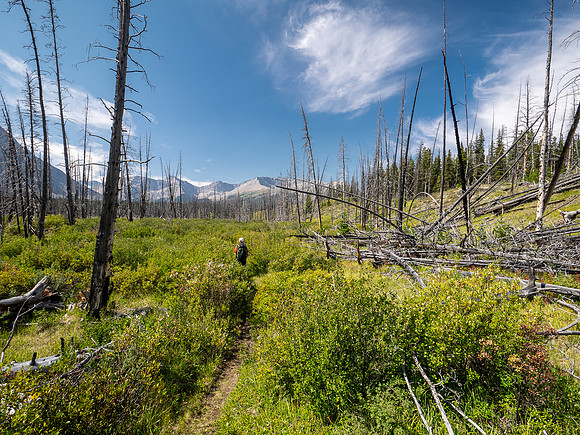 Hiking the Red Deer River Trail.