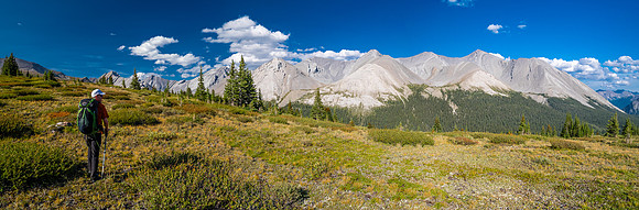 Hiking the McConnell Meadows above the north branch of McConnell Creek.