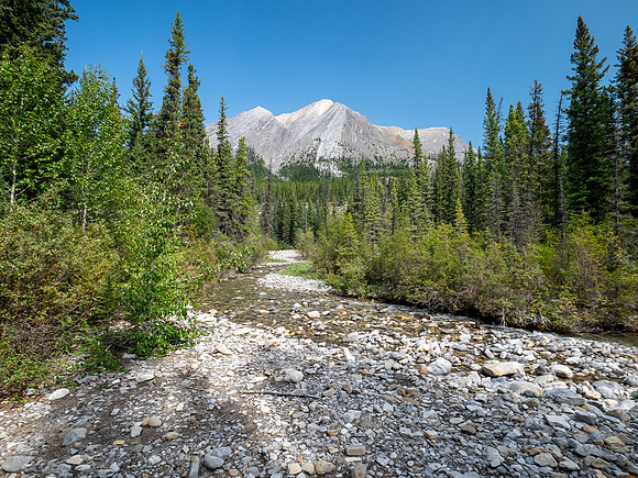 Hiking the Red Deer River Trail.