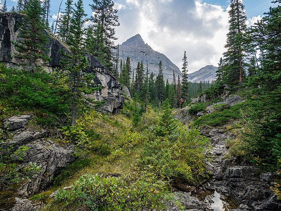 Hiking across the Roaring Creek valley.