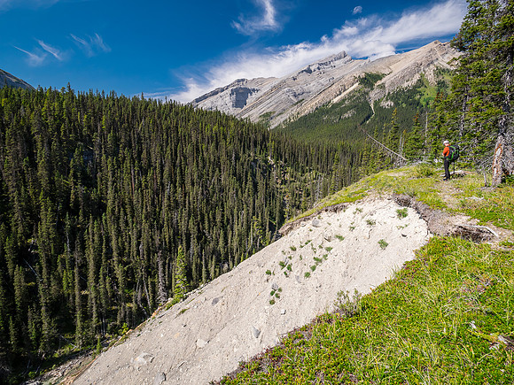 Hiking up the outfitter trail above McConnell Creek.
