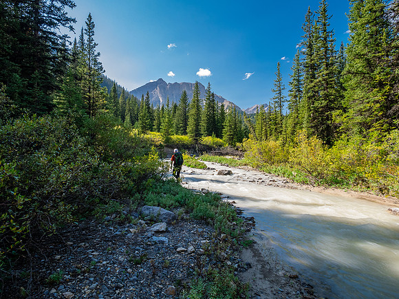 Hiking up McConnell Creek.
