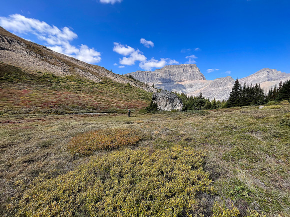 Traversing east above Roaring Creek to Mount Goodair.