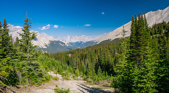Traversing east above Roaring Creek to Mount Goodair.
