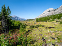 Hiking the Red Deer River Trail.