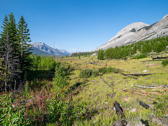 Hiking the Red Deer River Trail.