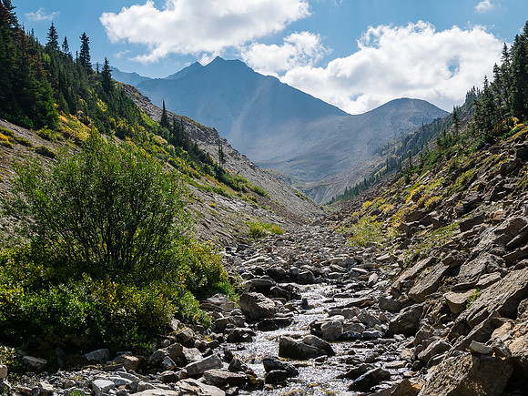 Traversing east above Roaring Creek to Mount Goodair.