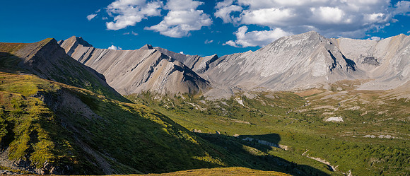 Hiking the McConnell Meadows above the north branch of McConnell Creek.