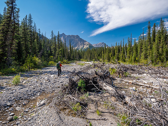 Hiking up McConnell Creek.