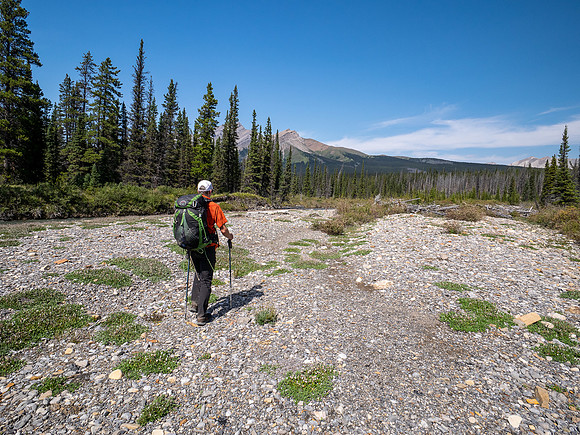 Hiking up McConnell Creek.