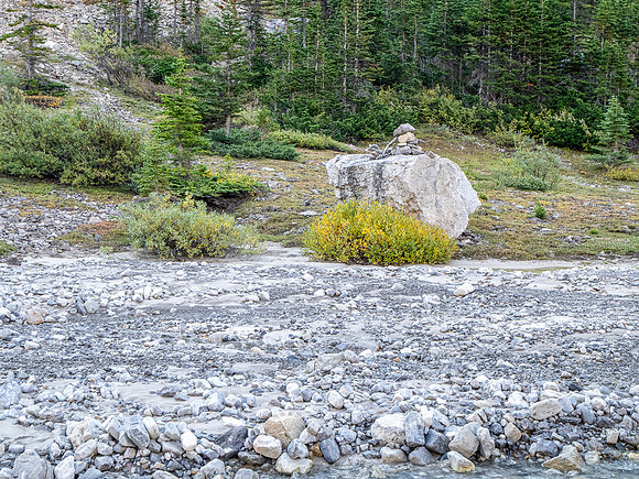 Hiking down the west branch of McConnell Creek.