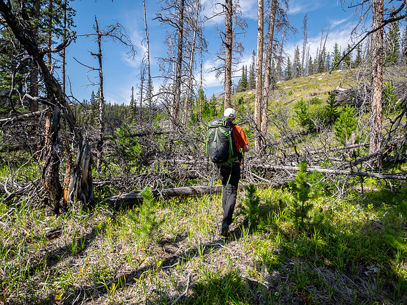 Hiking up the outfitter trail above McConnell Creek.