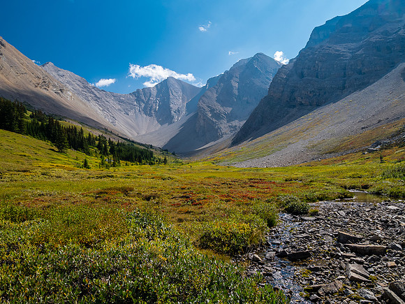 Traversing east above Roaring Creek to Mount Goodair.