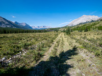 Hiking the Red Deer River Trail.