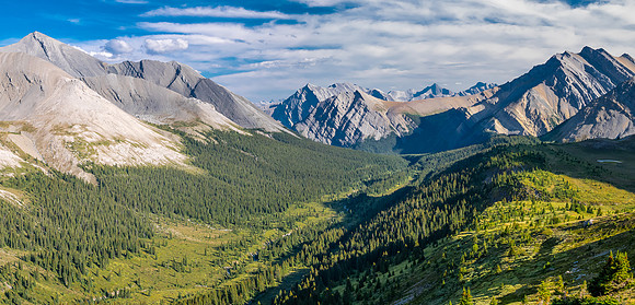 Hiking the McConnell Meadows above the north branch of McConnell Creek.