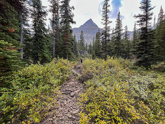 Hiking across the Roaring Creek valley.
