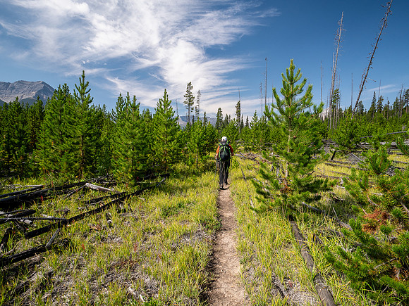 Hiking the Red Deer River Trail.