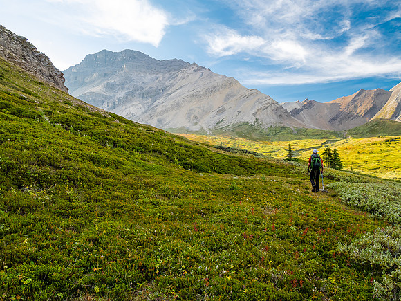 Hiking through the upper NW corner of McConnell meadows under Smoky Mountain.