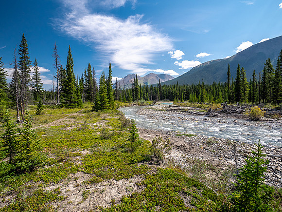 Hiking the Red Deer River Trail.