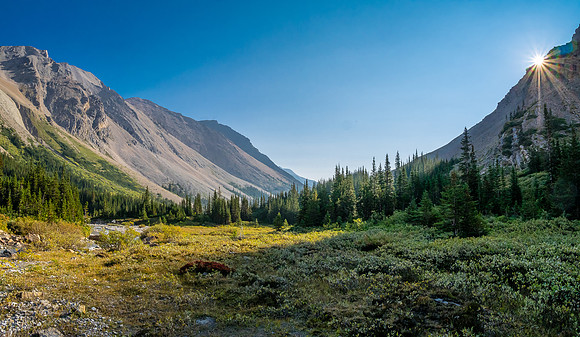 Hiking down the west branch of McConnell Creek.
