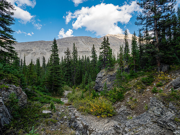 Hiking across the Roaring Creek valley.