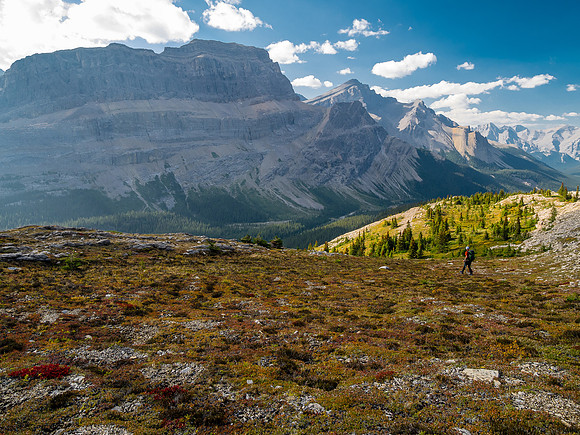 Descending into Roaring Creek from the NW ridge of Mount Goodair.