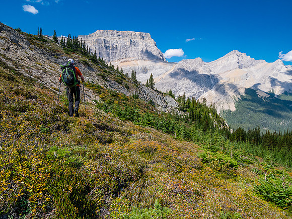 Traversing east above Roaring Creek to Mount Goodair.