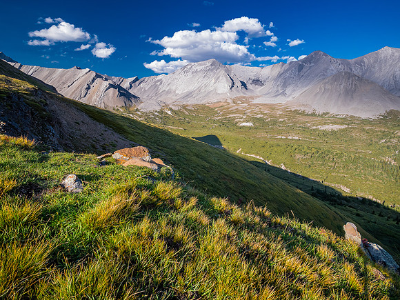 Hiking the McConnell Meadows above the north branch of McConnell Creek.