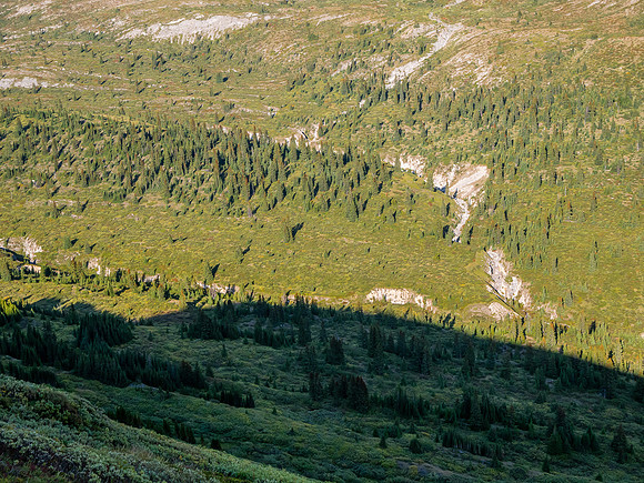 Hiking the McConnell Meadows above the north branch of McConnell Creek.
