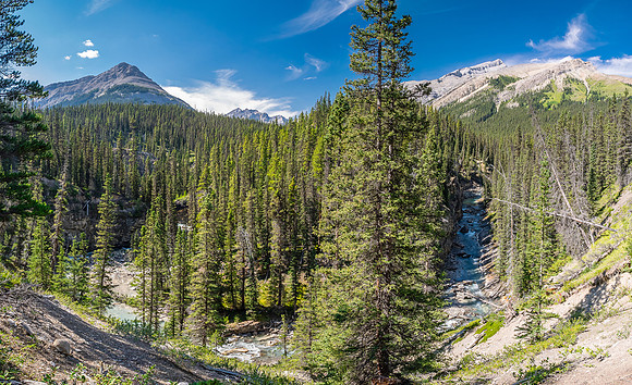 Hiking up the outfitter trail above McConnell Creek.