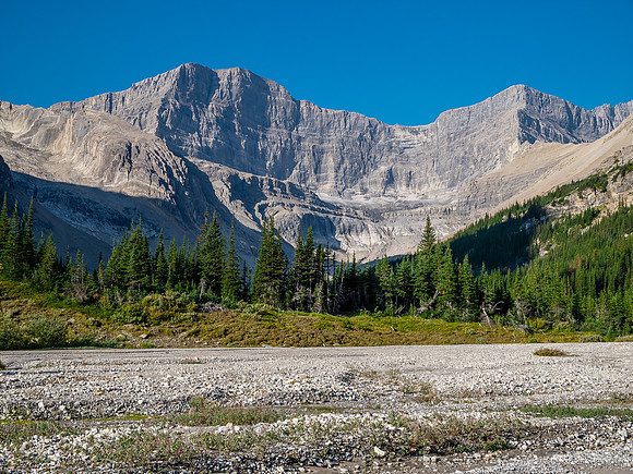 Hiking down the west branch of McConnell Creek.