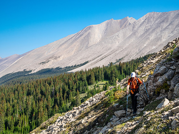 Traversing east above Roaring Creek to Mount Goodair.