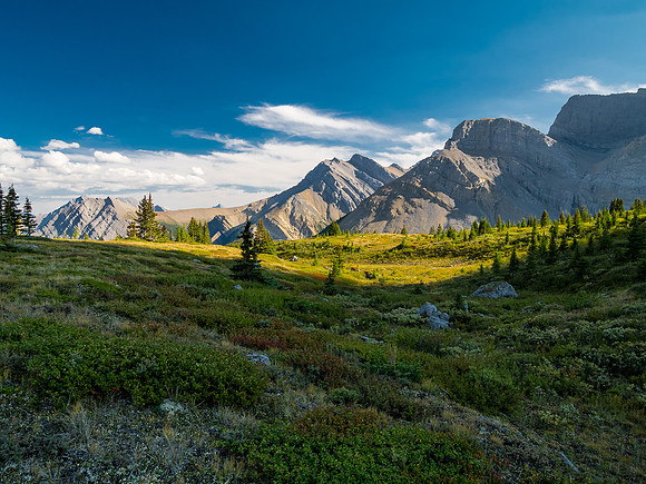 Hiking the McConnell Meadows above the north branch of McConnell Creek.